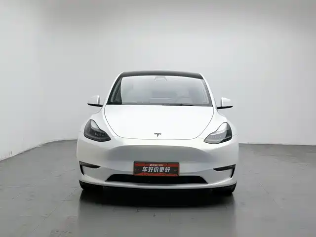 Tesla Model Y 2021 Performance High-Performance AWD — фото 3