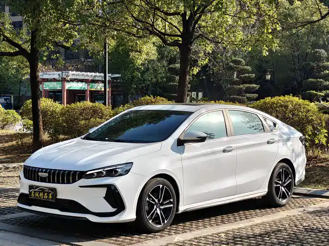 GEELY AUTOMOBILE BINRUI