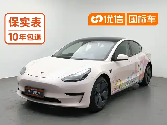 Tesla Model 3 2021 Standard Range Rear-Wheel Drive Upgrade 3D6 — фото 1