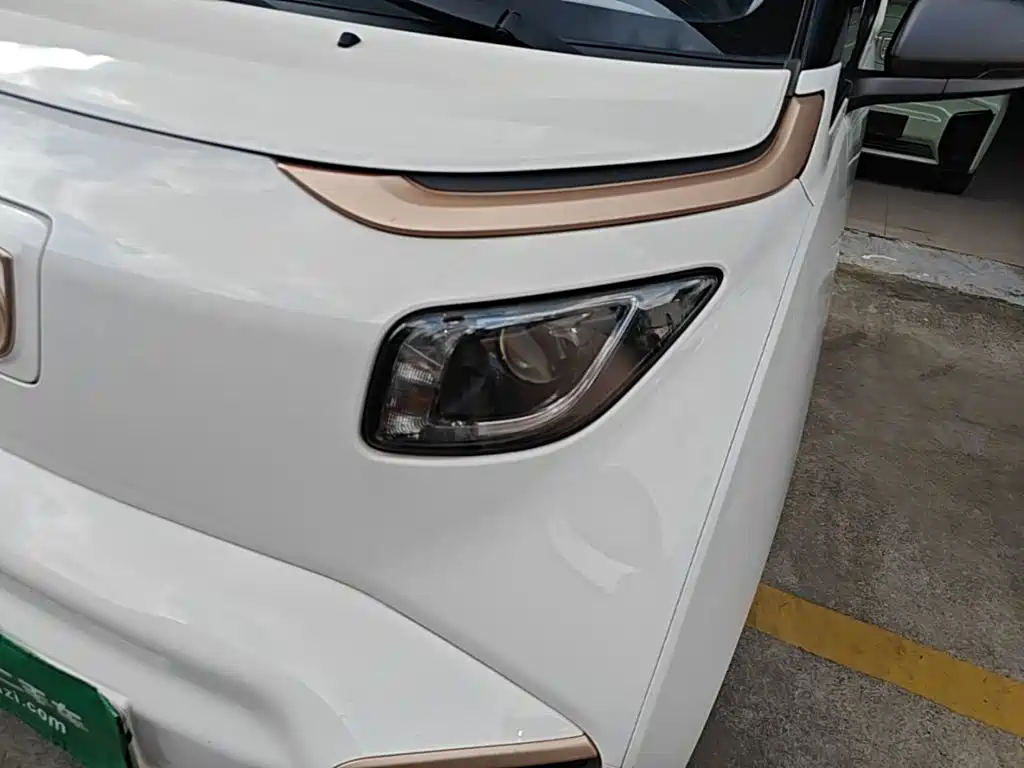 Baojun E200 2020 2020 305KM Smart Edition