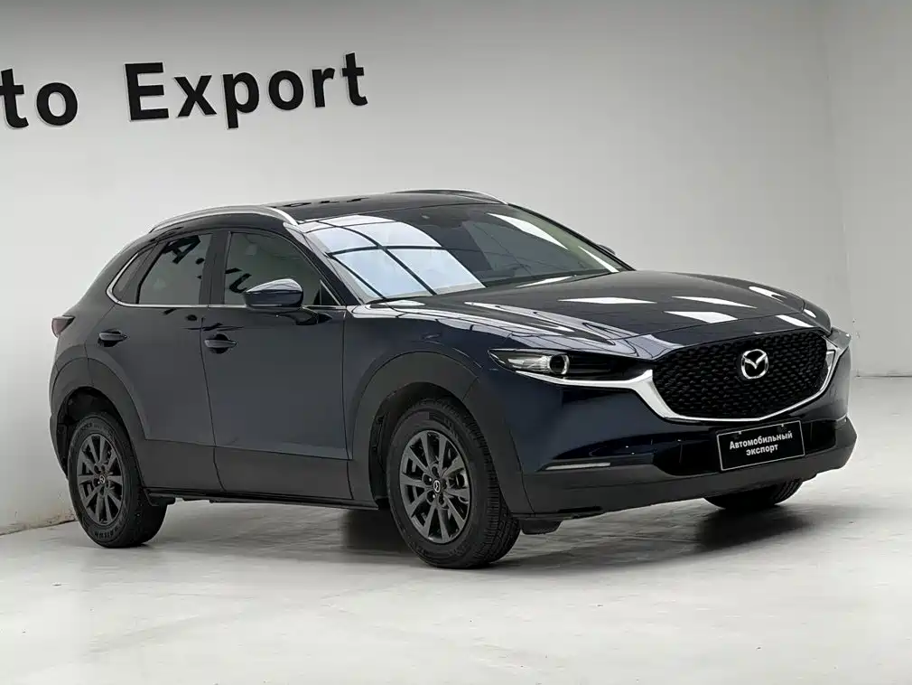 Mazda CX-30 2022 2021 2.0L Auto Quality Delight Type