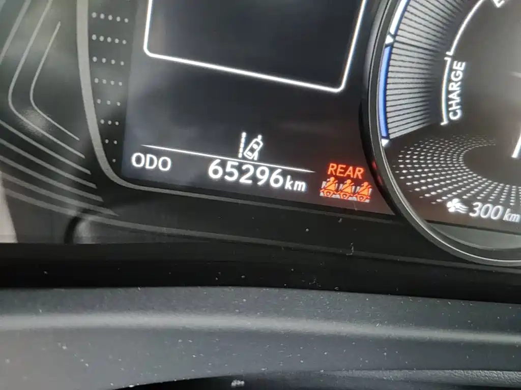 Lexus UX Electric 2021 2020 300e Pure Yue Edition