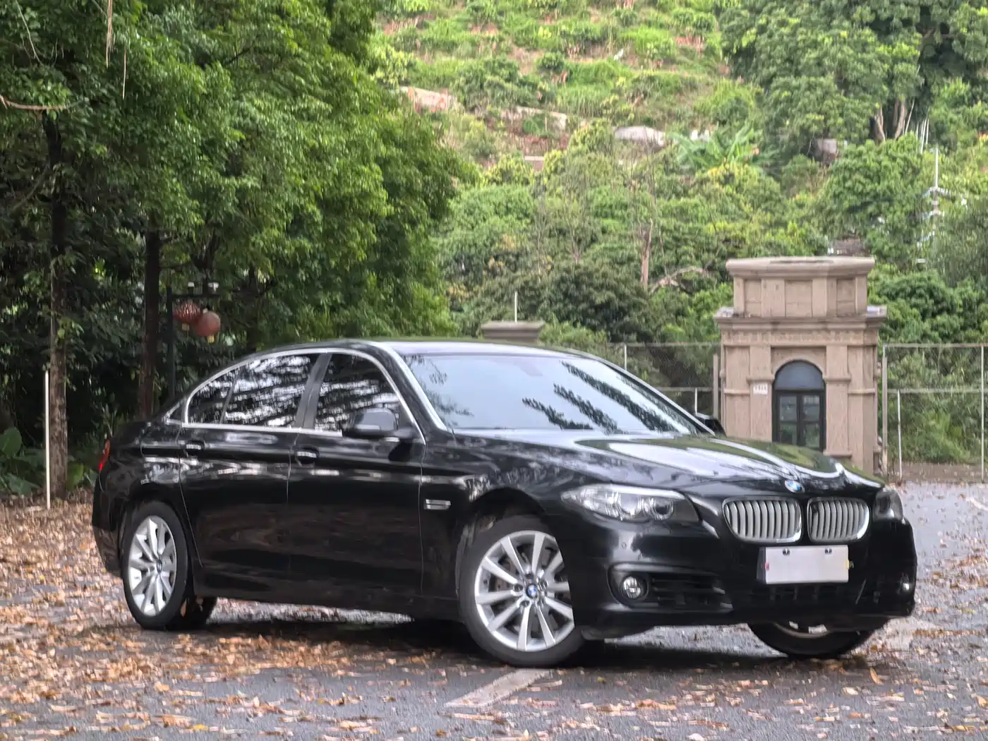 BMW 5 Series 2015 535Li Leading фото 2
