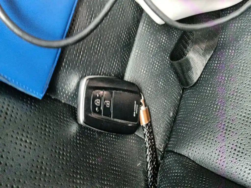 Toyota IZOA 2021 2020 2.0L Yi Chi Edition