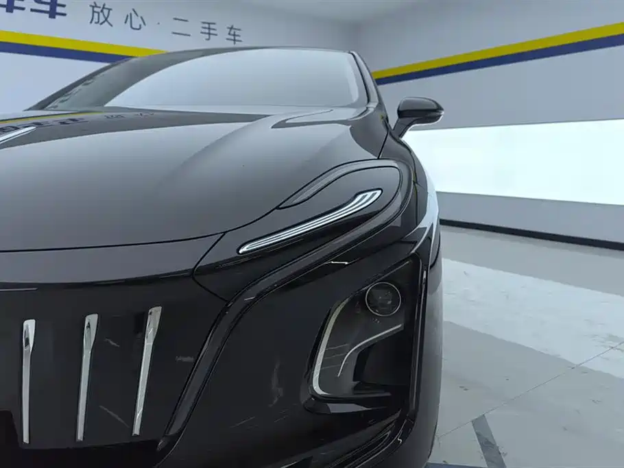 Hongqi HONGQI E QM5