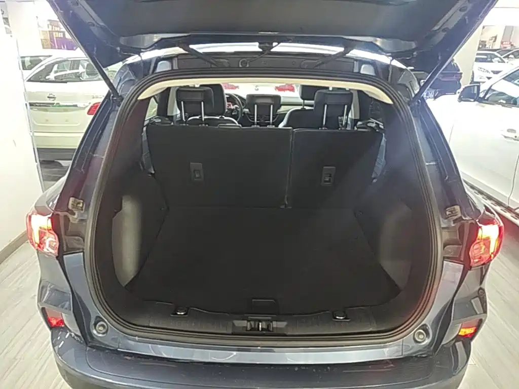 FORD RUIJI