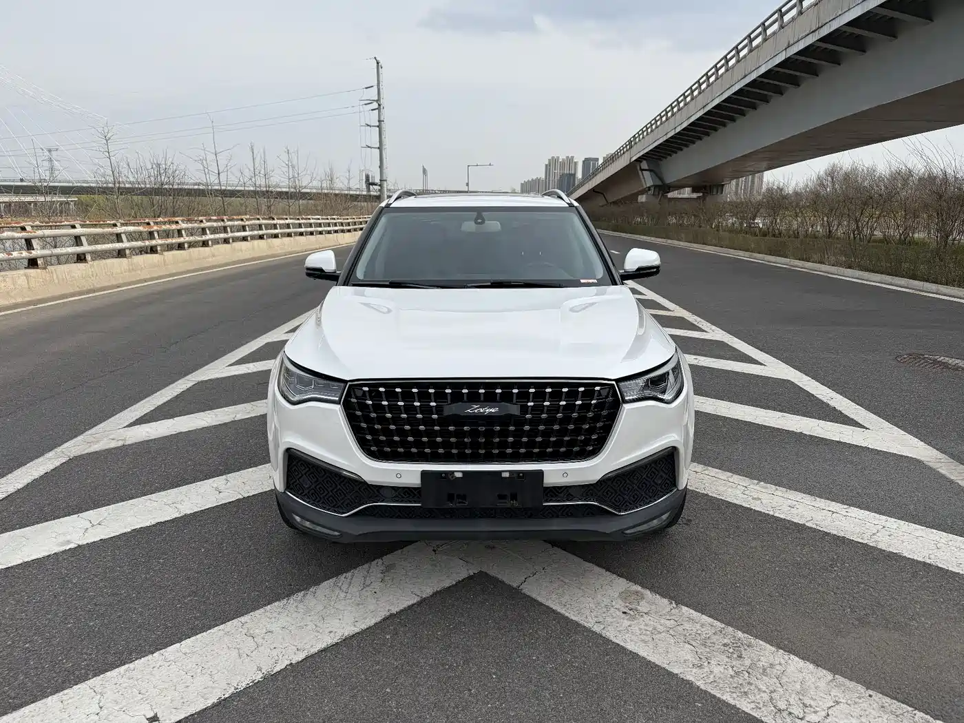 ZOTYE T700