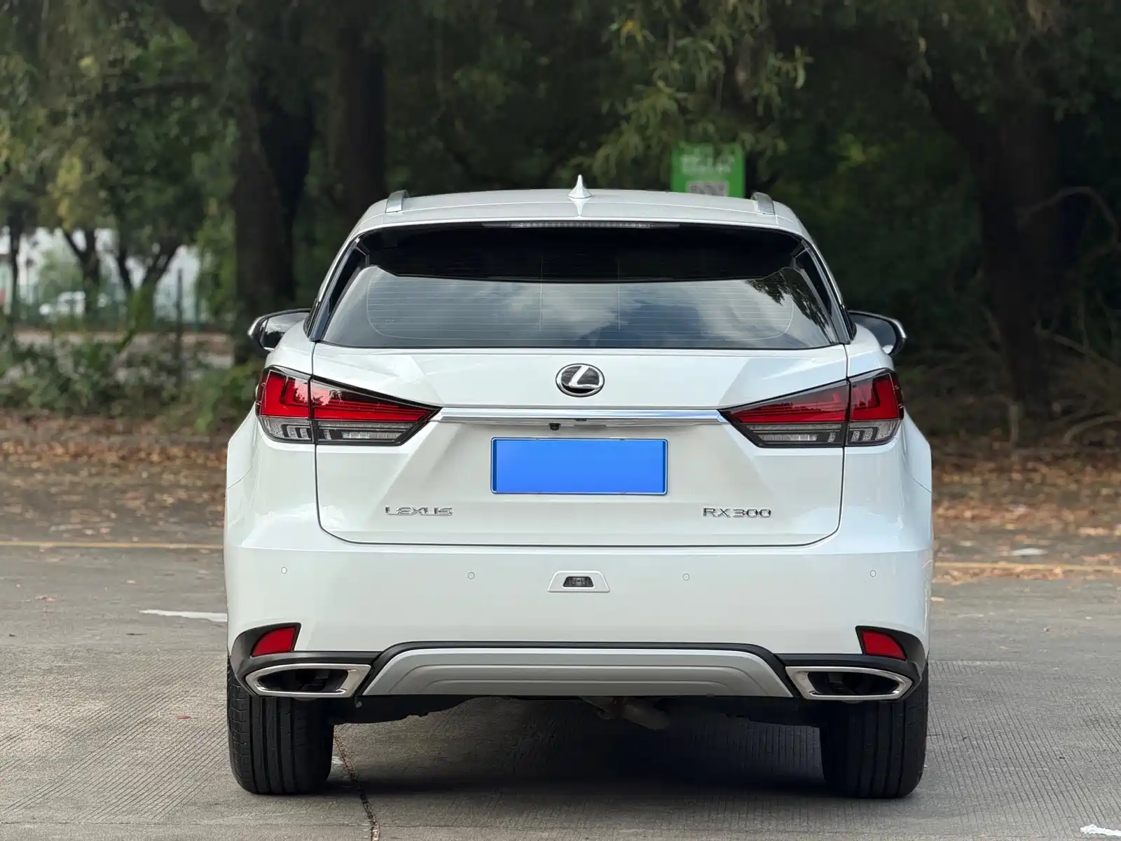Фото 13 - Lexus RX
