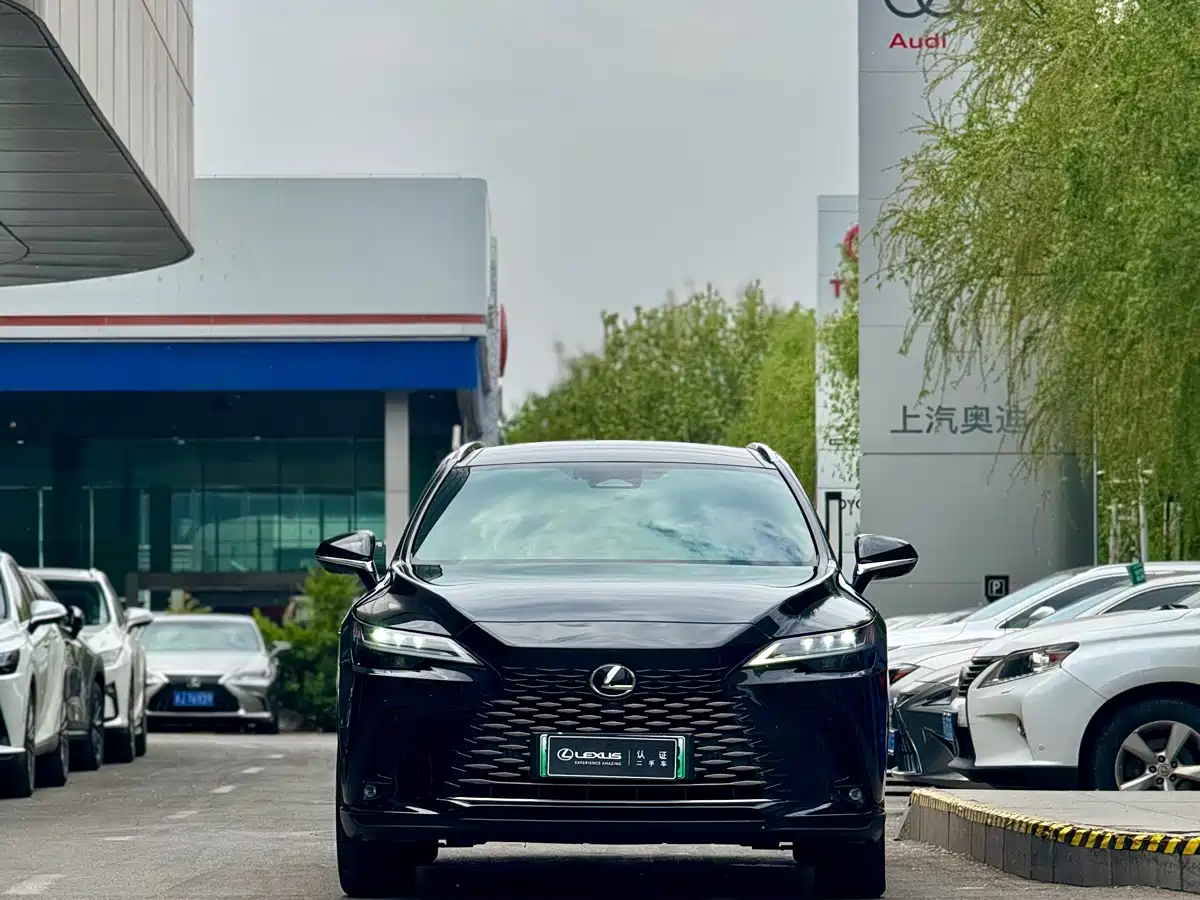 Lexus RX New Energy 2023 450h+ 4WD Enjoyment фото 2