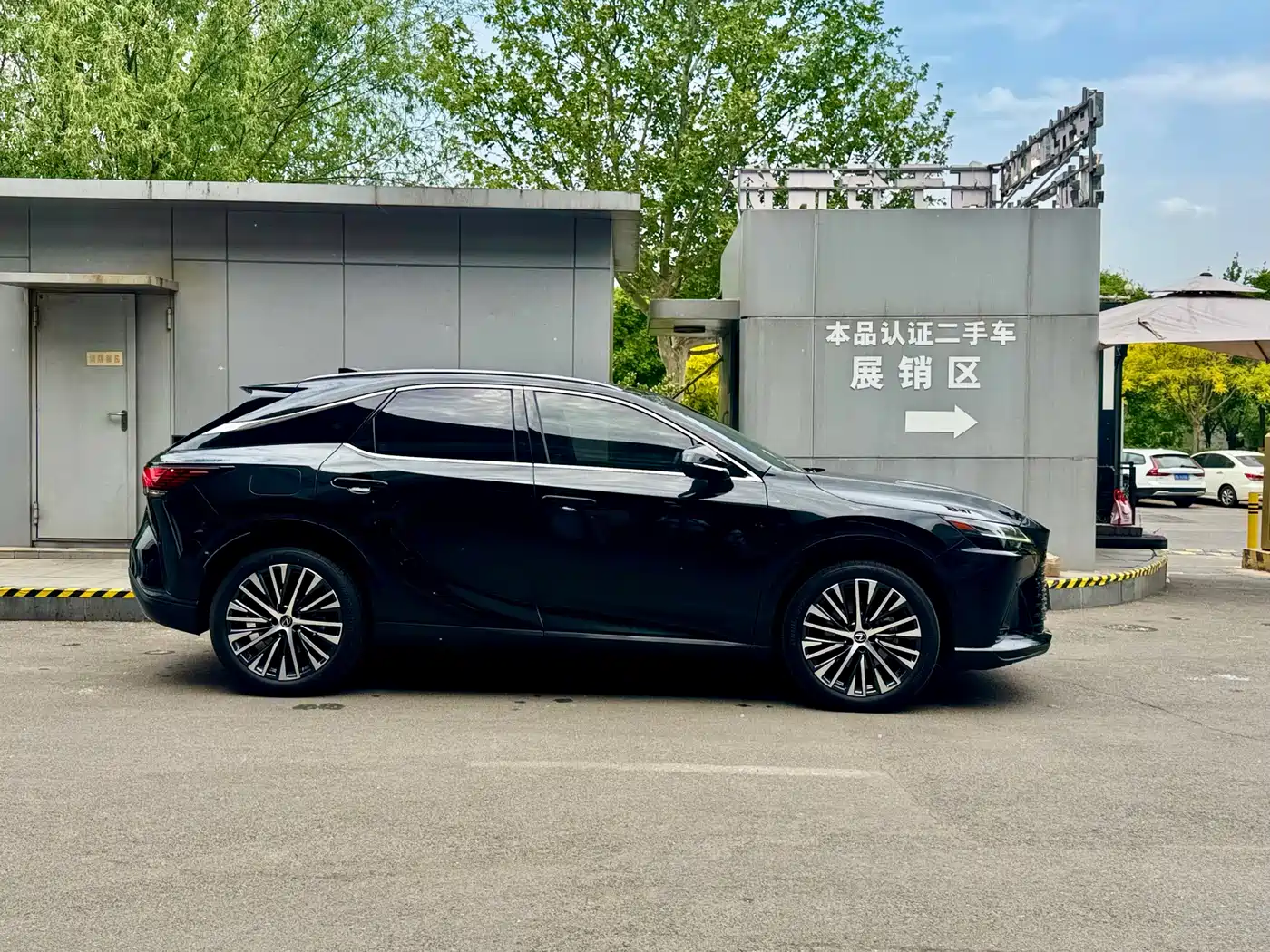 Lexus RX New Energy 2023 450h+ 4WD Enjoyment фото 4