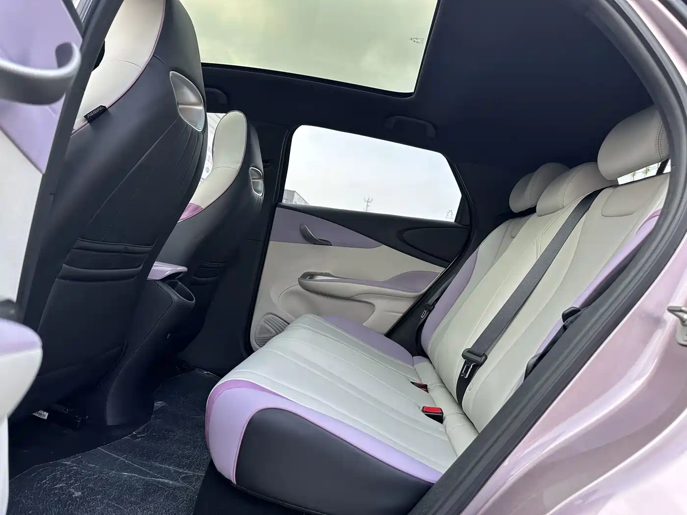 BYD Dolphin 2022 2021 401km Knight Edition