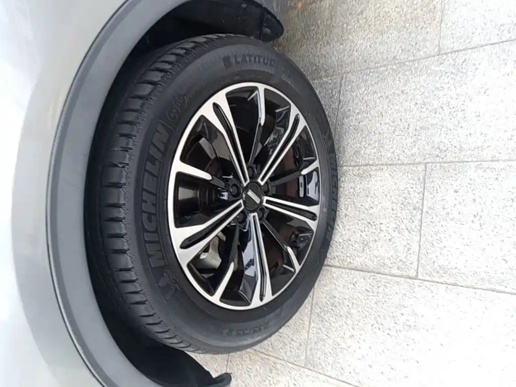 WEY VV6 2021 2021 2.0T 2WD Smart Enjoyment+