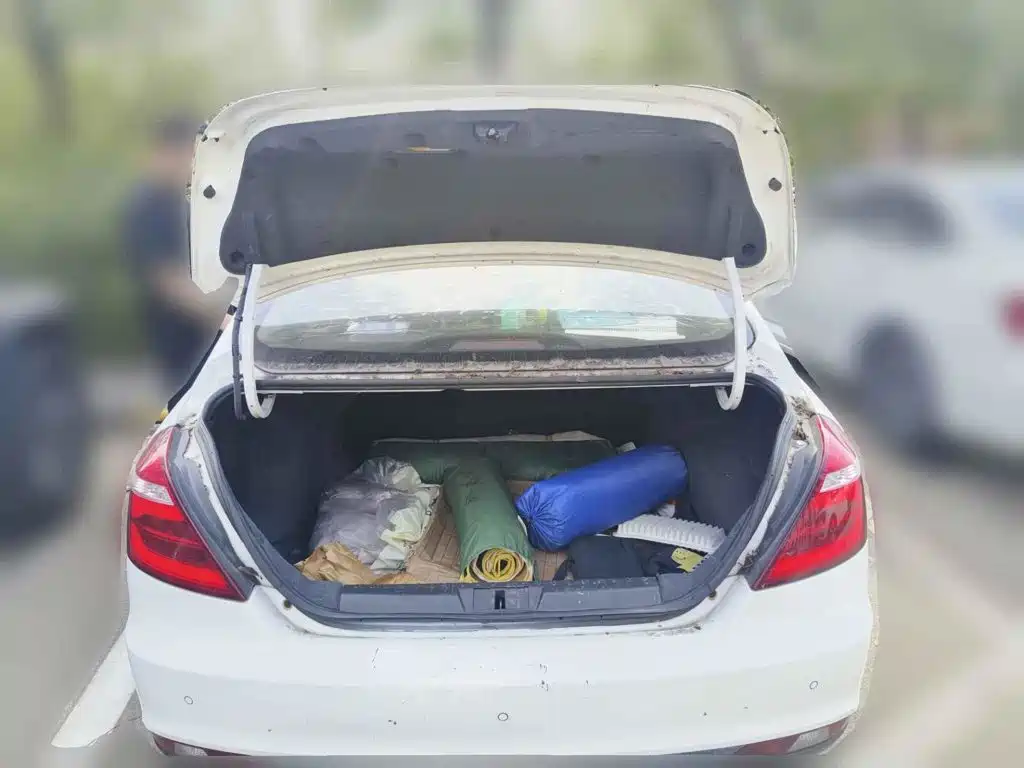 Photo 13 - Geely Emgrand