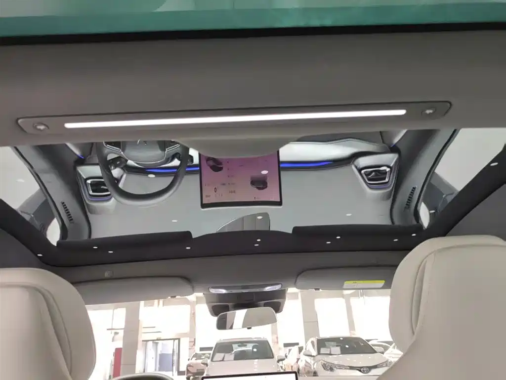 ARCFOX EXTREME FOX POLAR FOX ALPHA S5