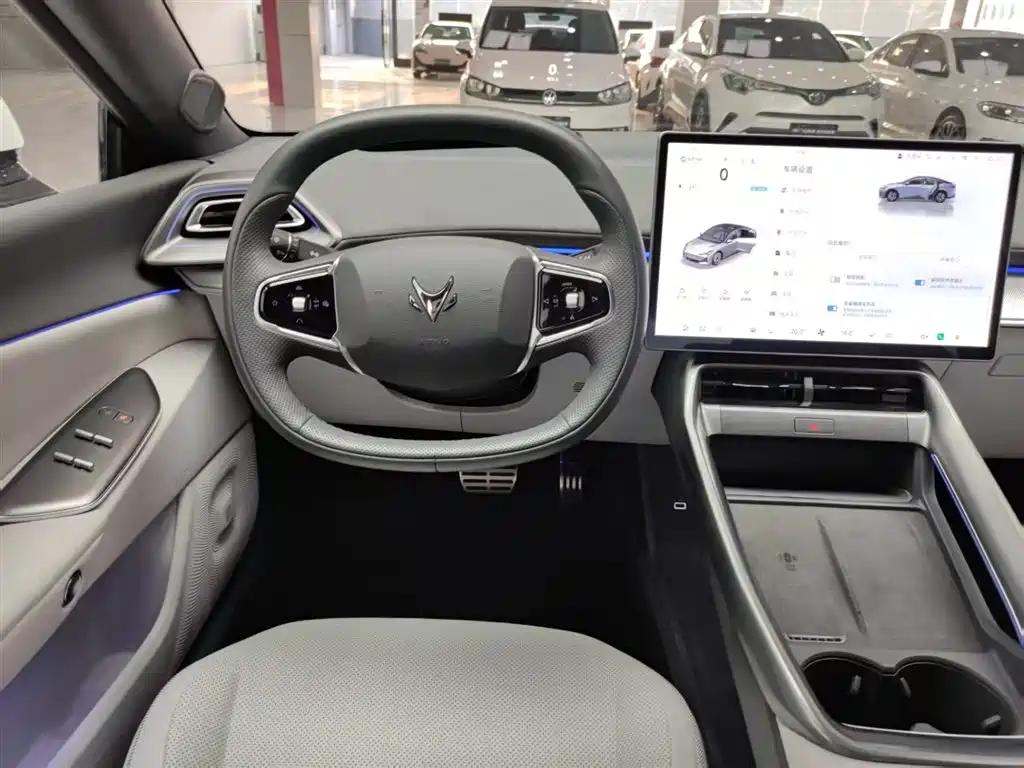 ARCFOX EXTREME FOX POLAR FOX ALPHA S5