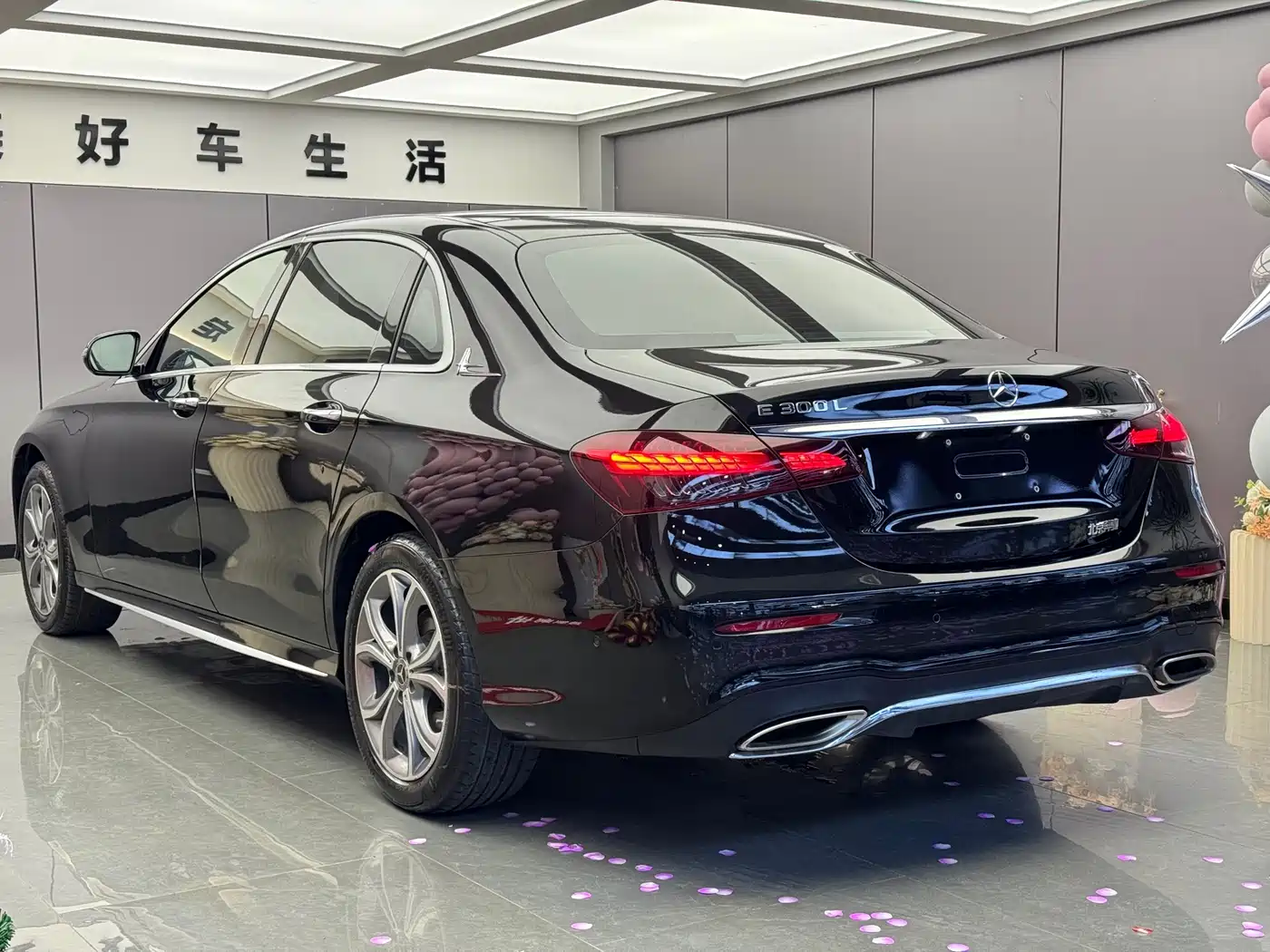 Mercedes-Benz E-Class 2022 E 300 L Luxury фото 15