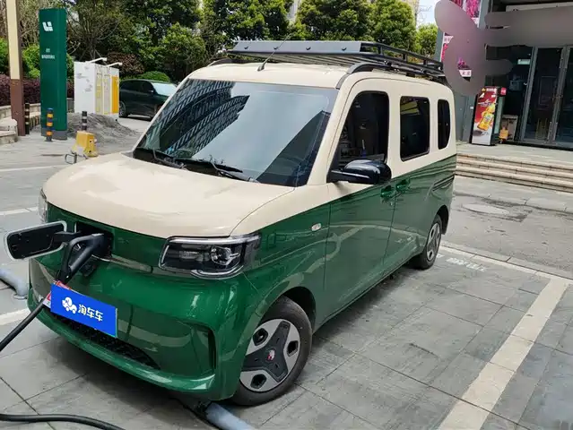 WULING WULING ZHIGUANG NEW ENERGY