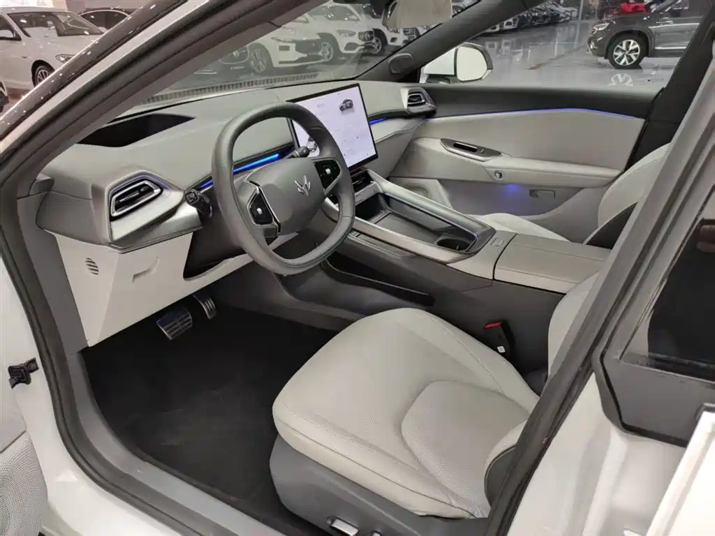 ARCFOX EXTREME FOX POLAR FOX ALPHA S5