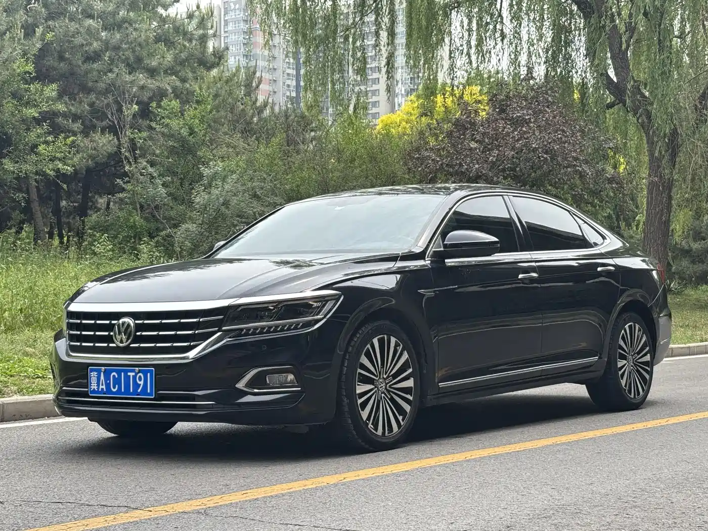 Volkswagen Passat 2019 330TSI Luxury Edition China VI