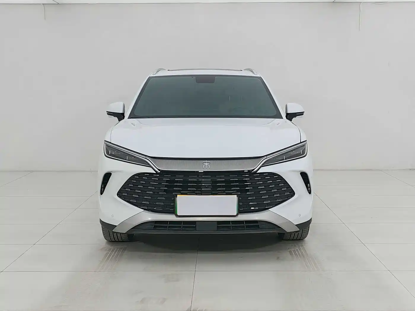 BYD Song L DM-i 2024 112km Leading Edition фото 2