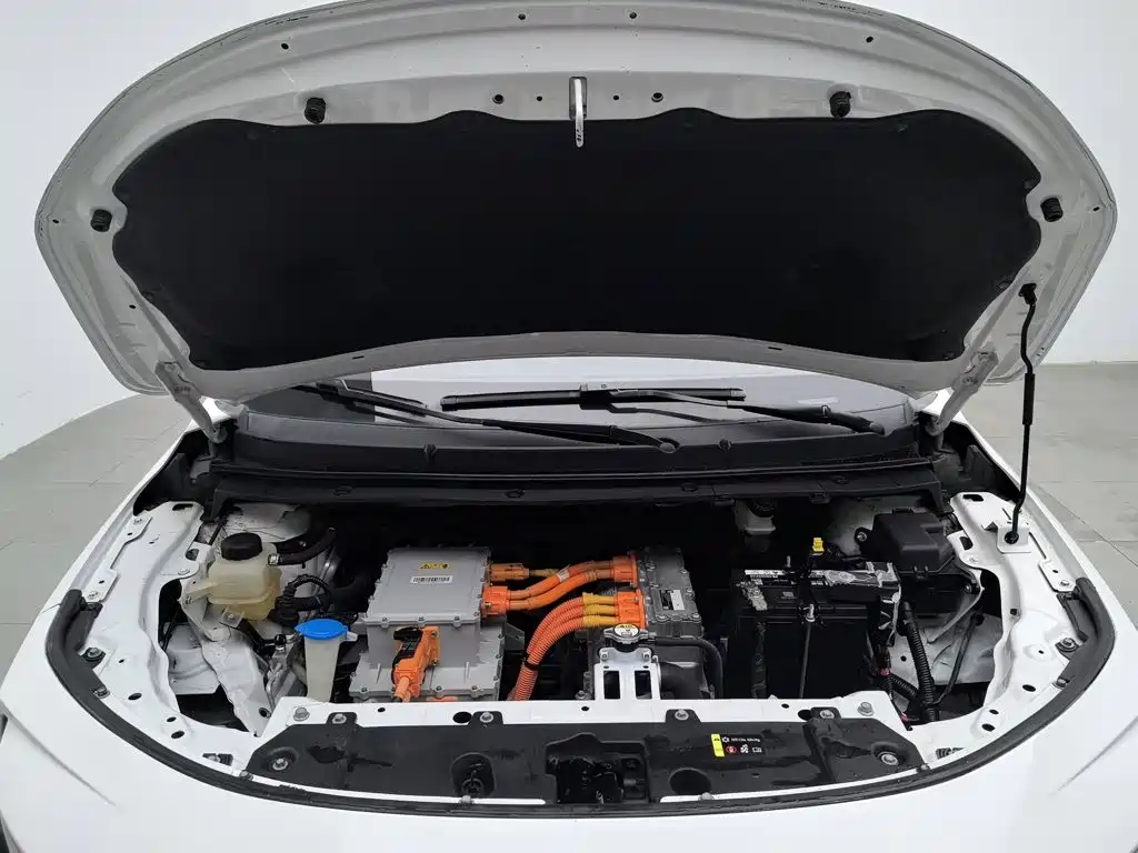 Ora iQ 2020 2019 Mobility Edition