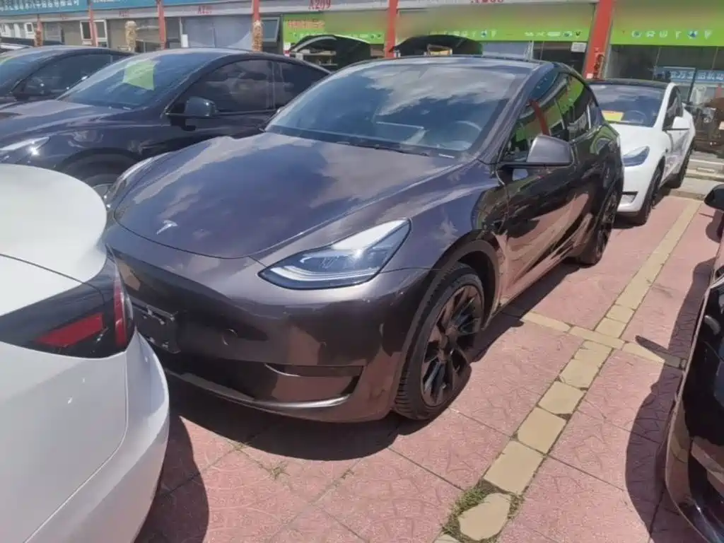 Tesla Model Y 2022 Rear-Wheel Drive Version