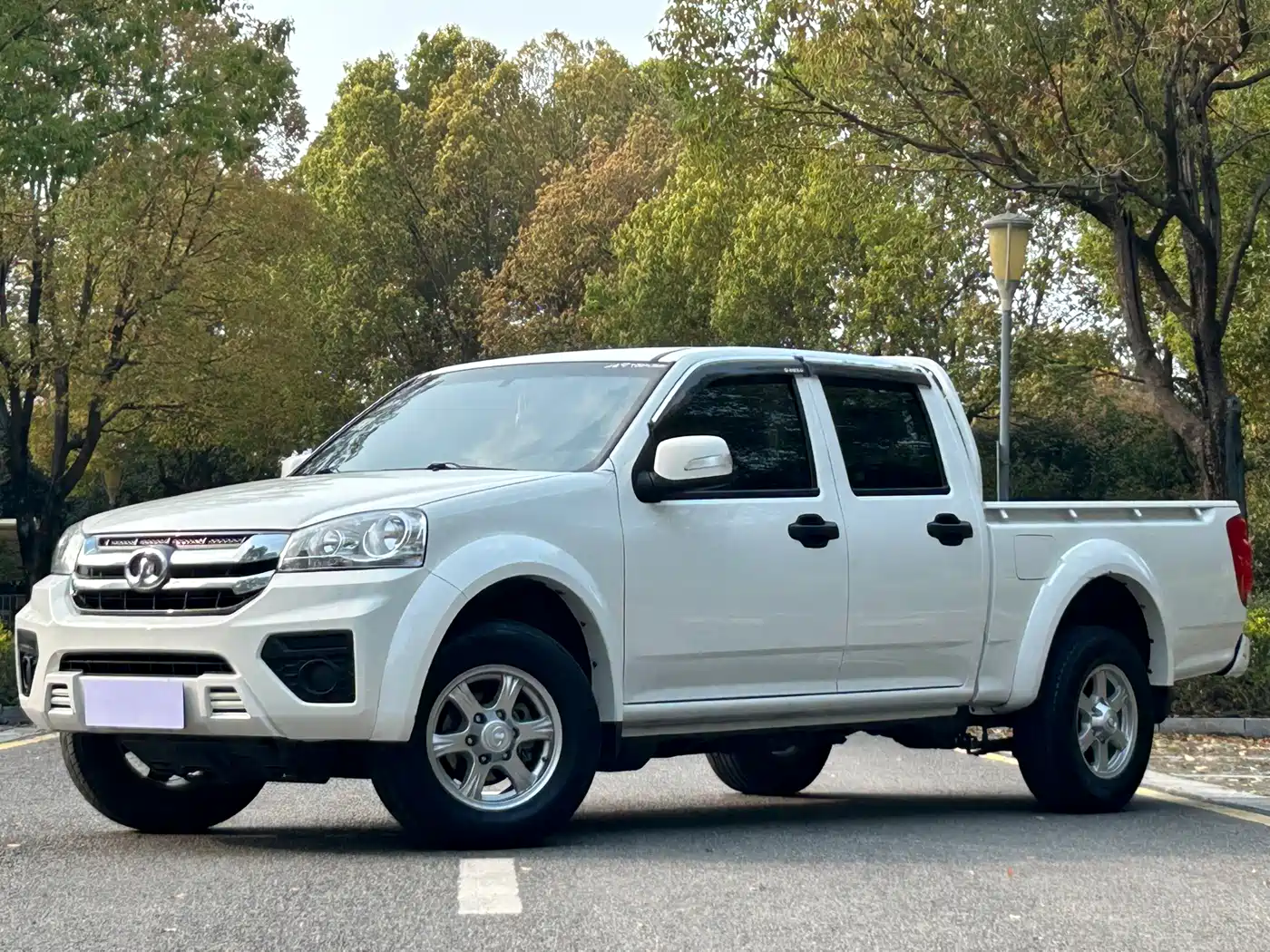 GREAT WALL FENGJUN 5