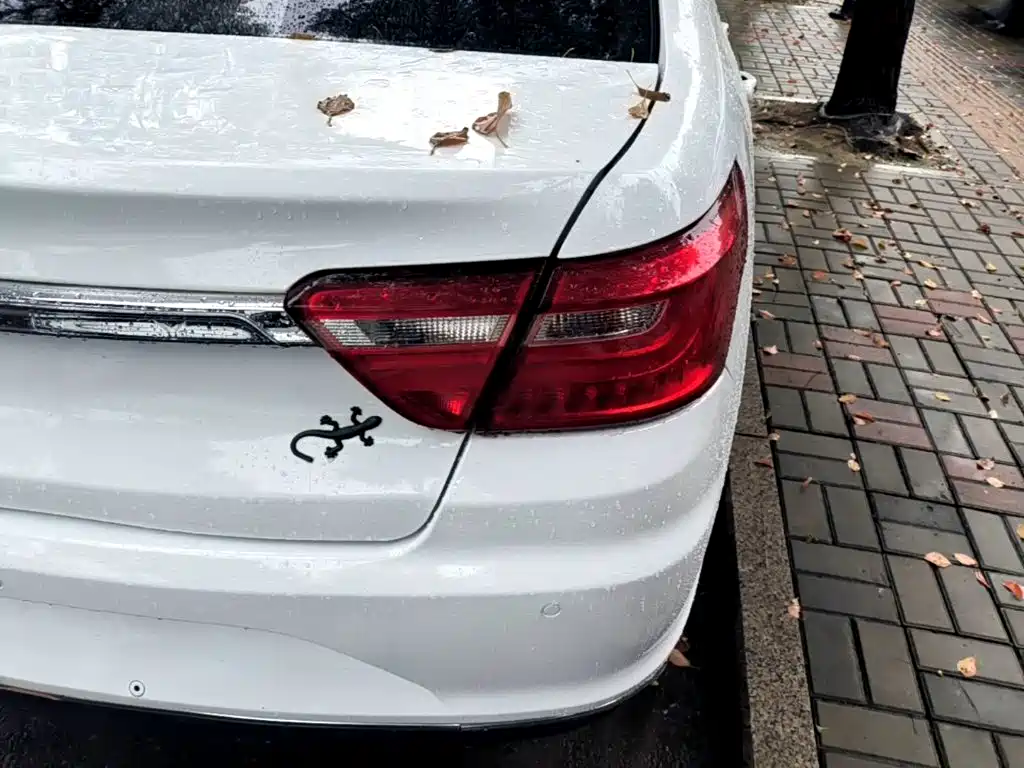 Фото 8 - Geely Vision