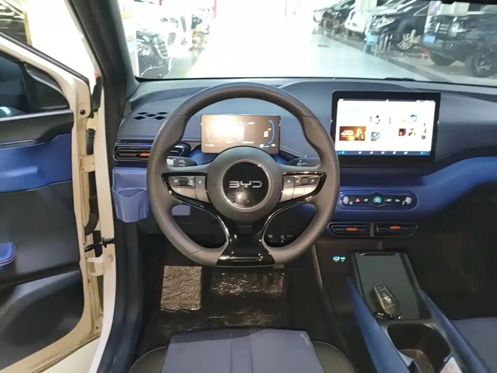 BYD Seagull 2026 2025 Smart Drive Edition 305km Vitality Version