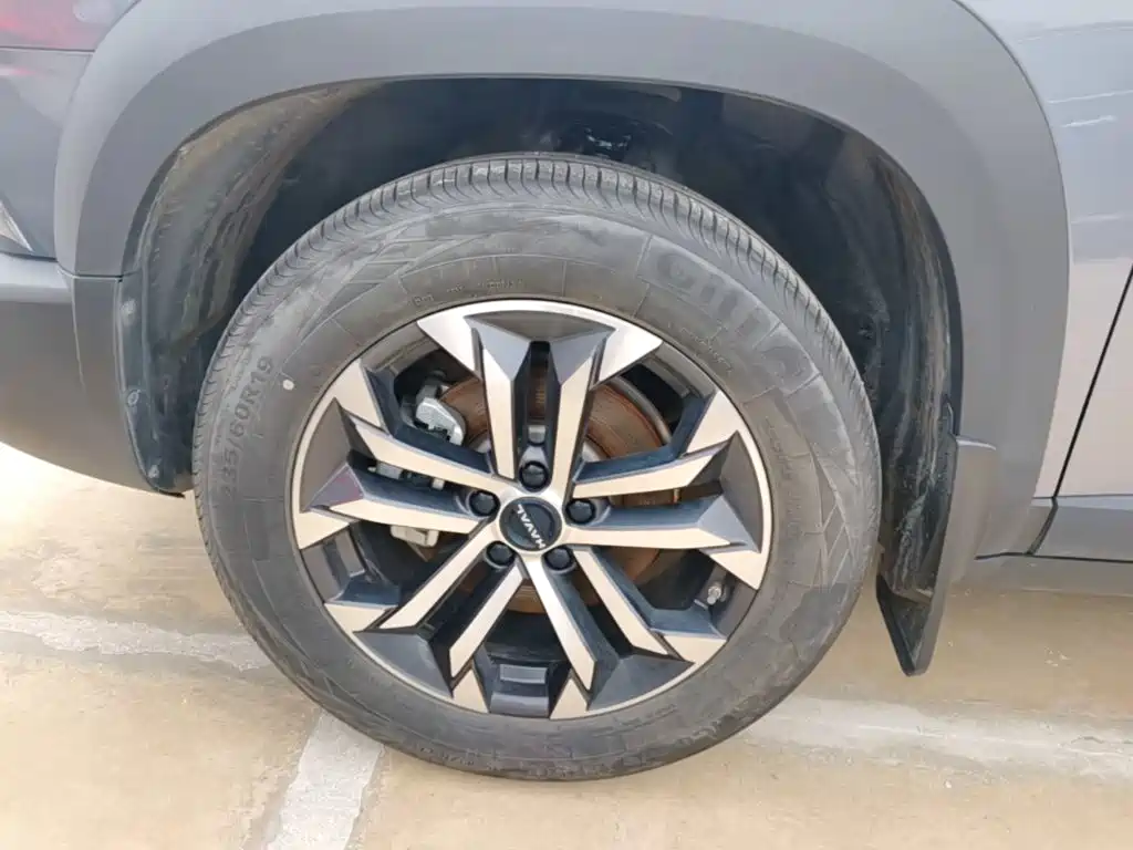 Haval Big Dog 2025 2024 1.5T DCT Border Collie Edition