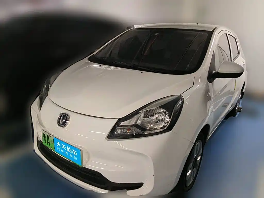 Changan Benben E-Star 2021 2021 National Edition Delight (LFP 31.18kWh)