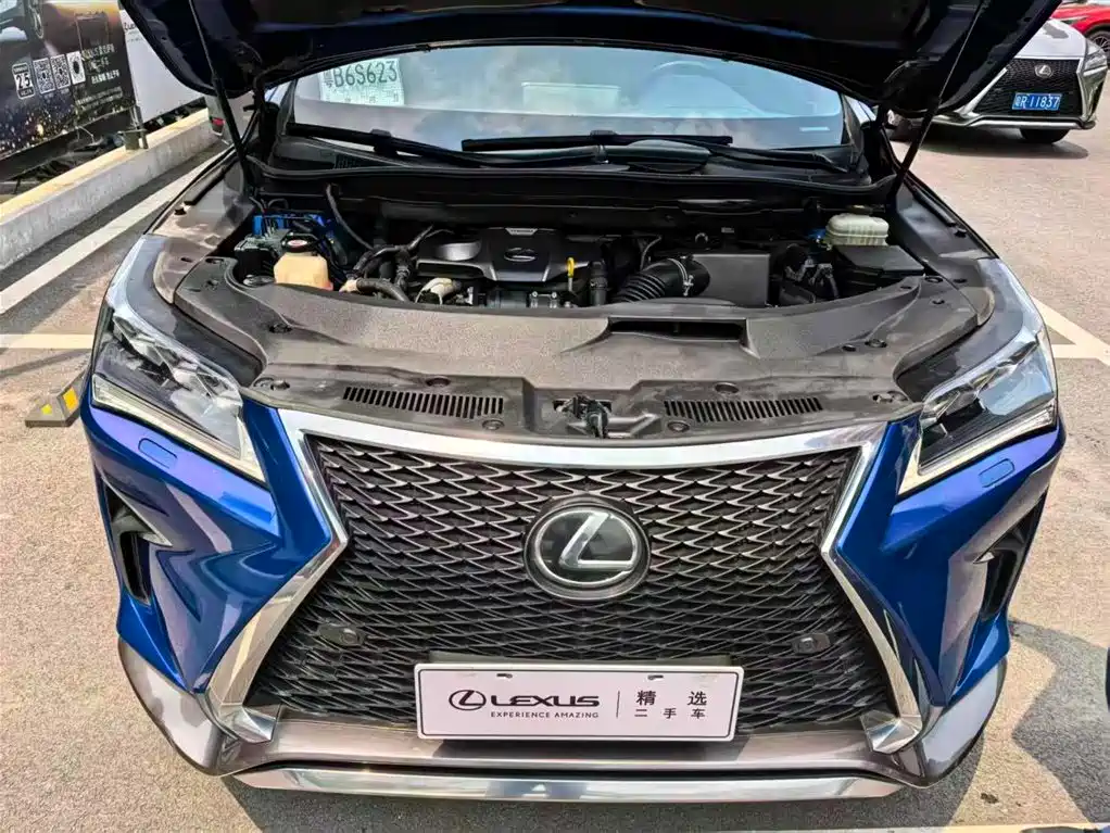 Lexus RX 2016 300 AWD F SPORT Edition China V фото 3