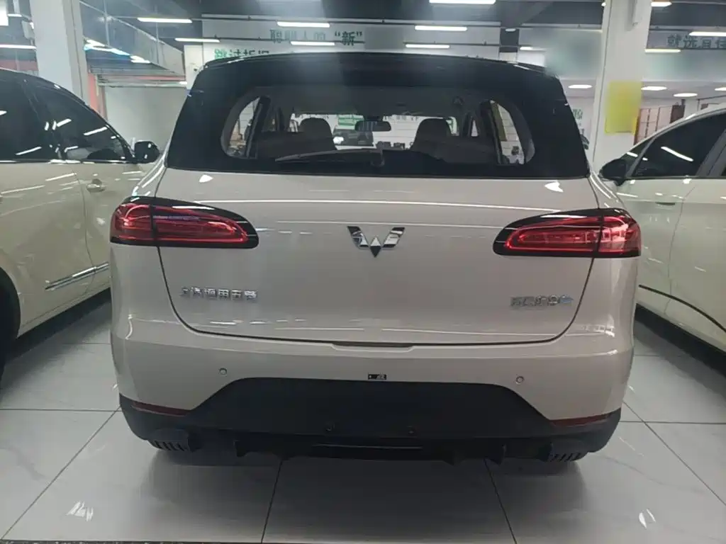Wuling Motors Wuling Binguo PLUS 2026 2024 401km Range 5-seater