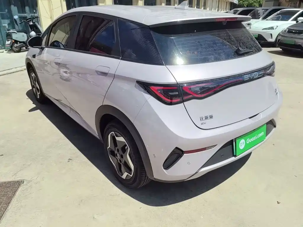BYD Dolphin 2026 2025 Smart Drive Edition 420km Freedom Version