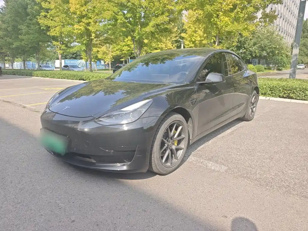 Tesla Model 3 2021