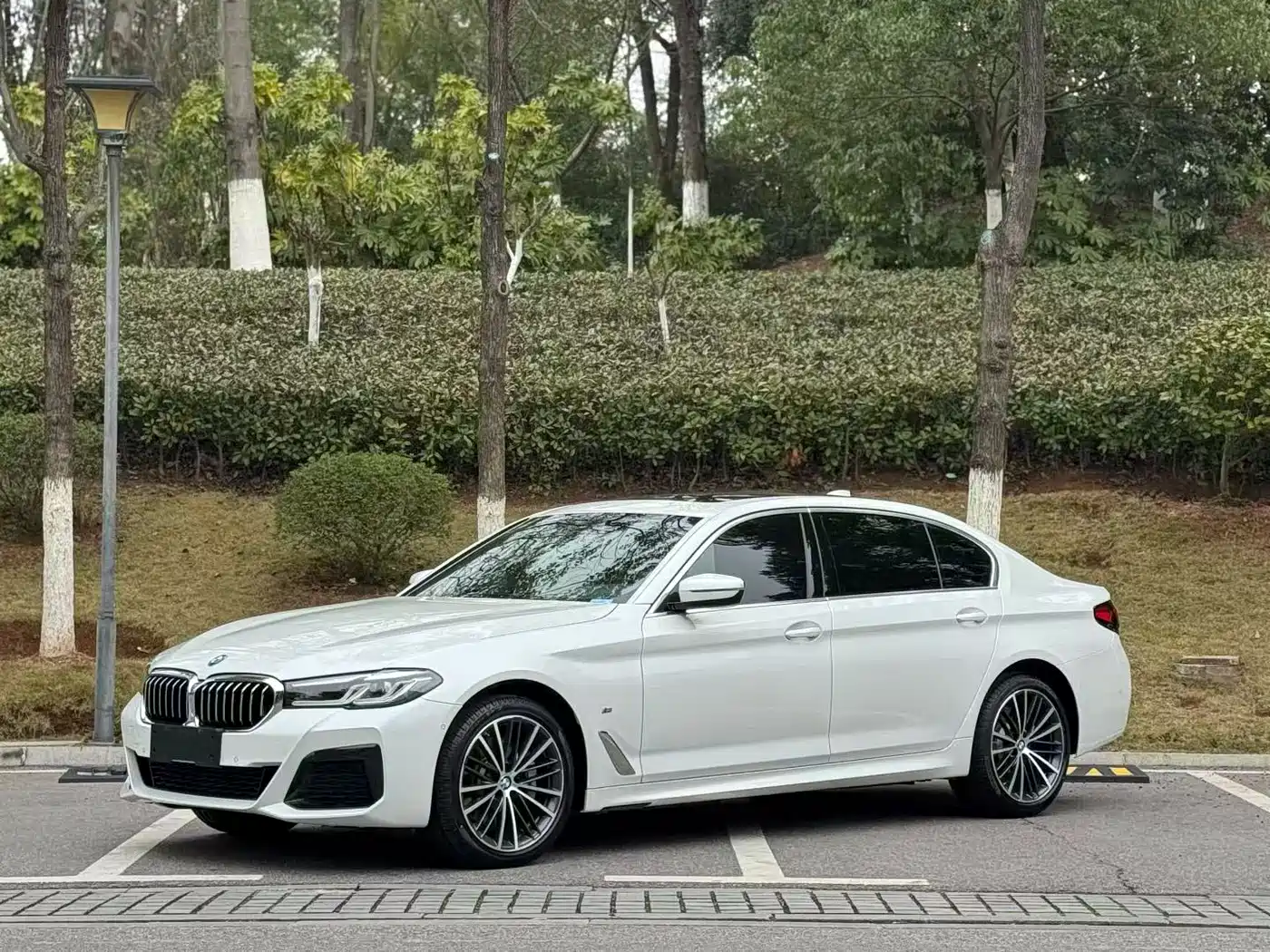 BMW 5 Series 2023 530Li Leading M Sport Package