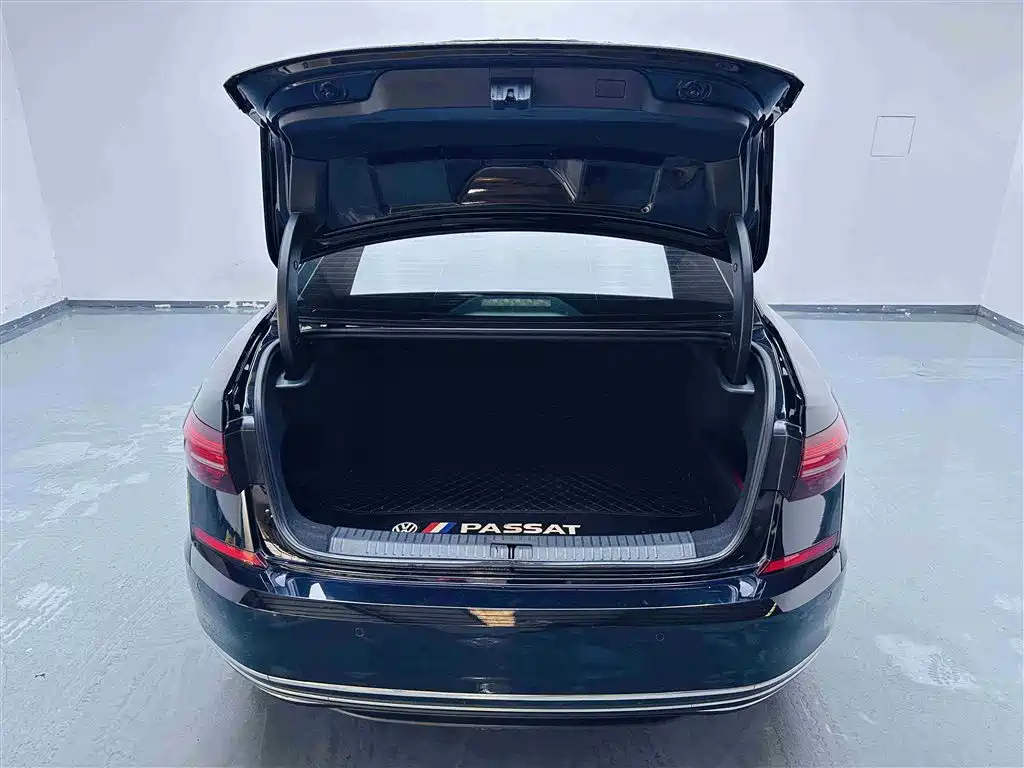 Volkswagen Passat 2019 330TSI Luxury Edition China VI фото 11