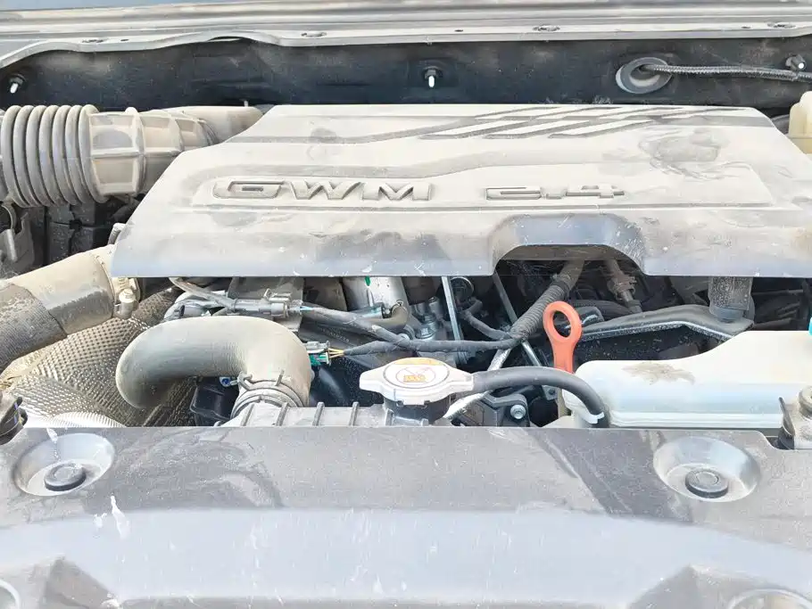 Great Wall Pao 2025 2024 Model 2.4T Commercial Version Automatic Diesel 4WD Elite Type