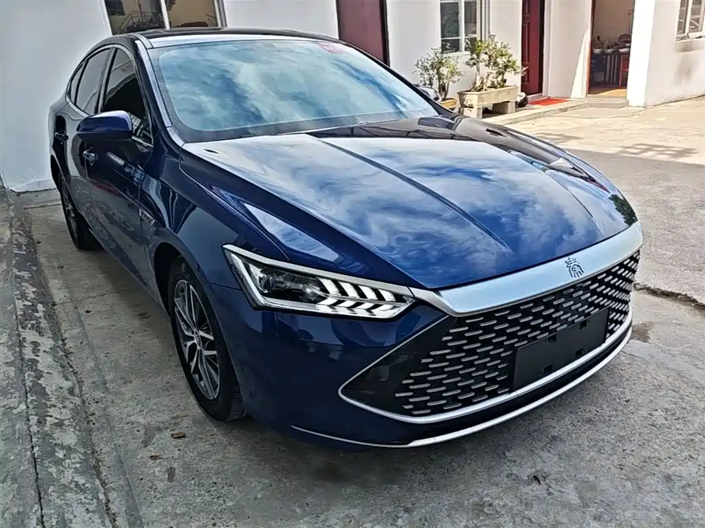 BYD Qin PLUS 2021 DM-i 55KM Flagship фото 4