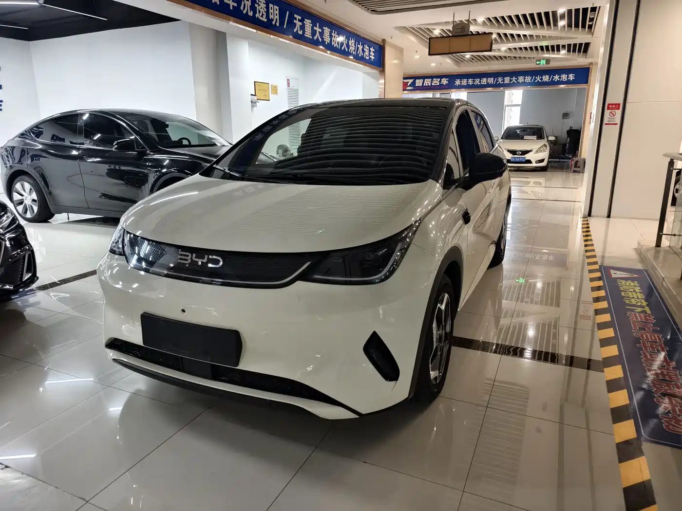 BYD Dolphin 2025
