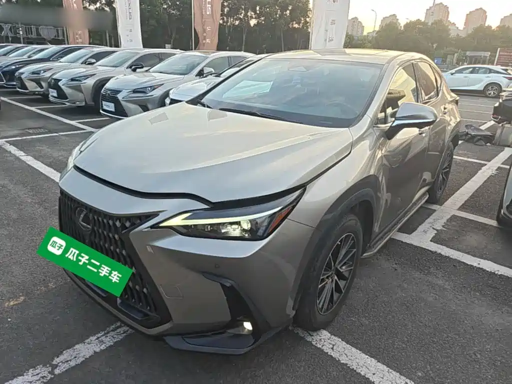 Фото 1 - Lexus NX