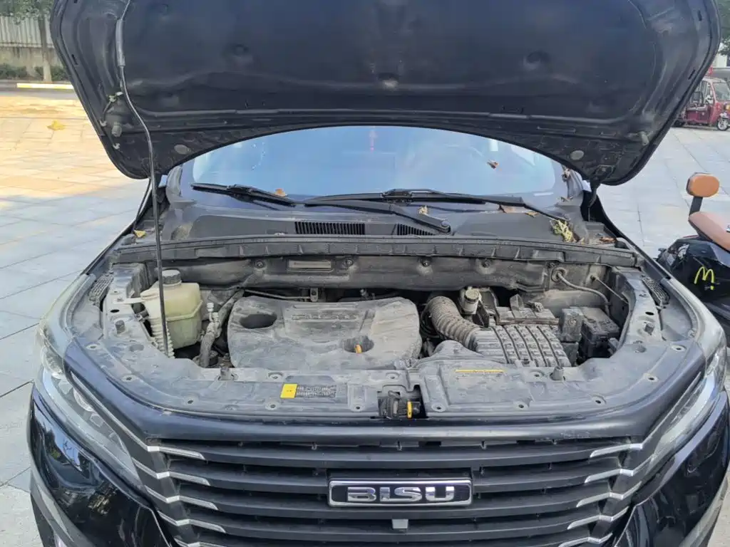 صورة 20 - Bisu Auto Bisu T5