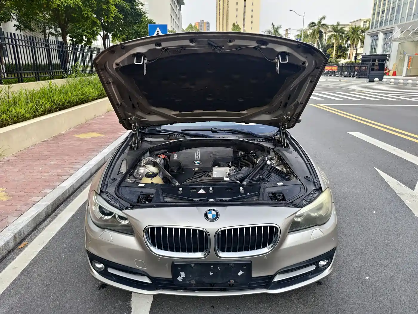 BMW 5 Series 2014 525Li Leading фото 25