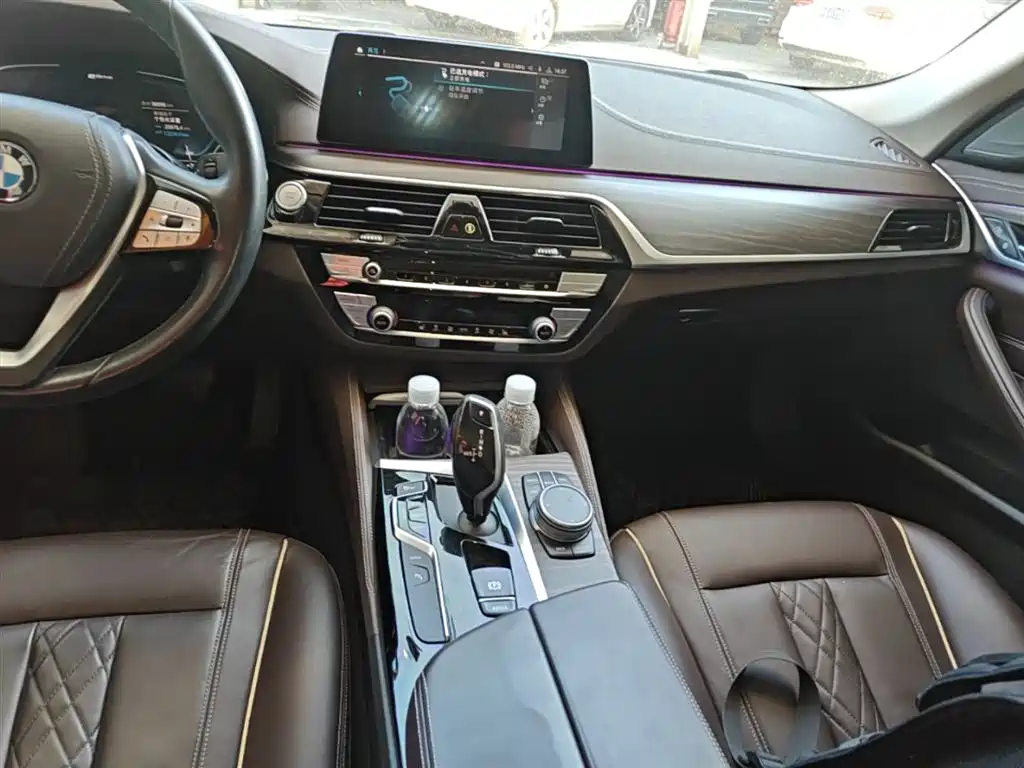 BMW 5 Series New Energy 2020 530Le Range Upgrade Luxury Package фото 14