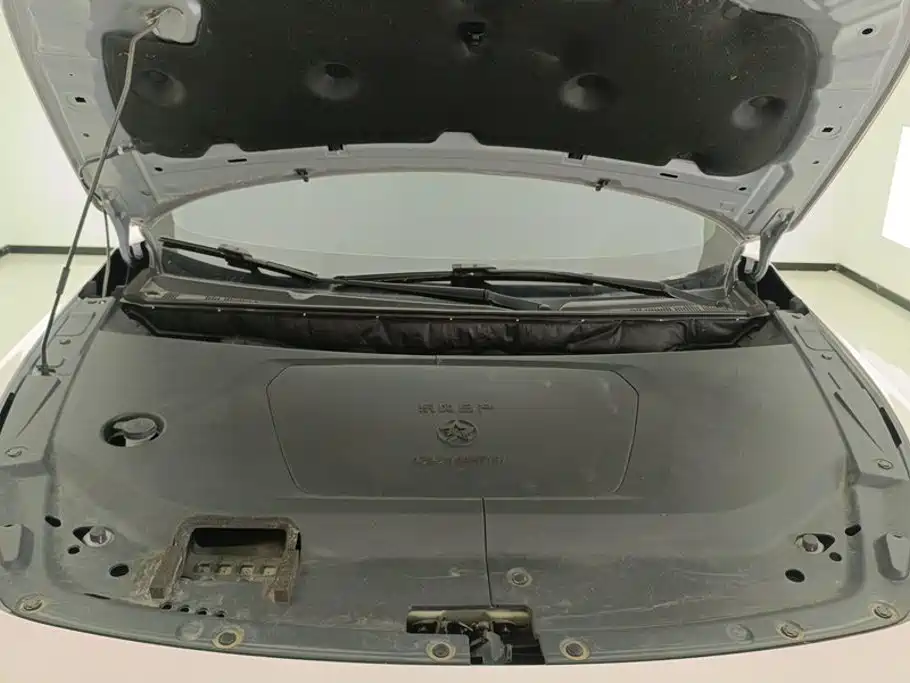 Venucia DaV DD-i 2024 2023 110km iE Edition