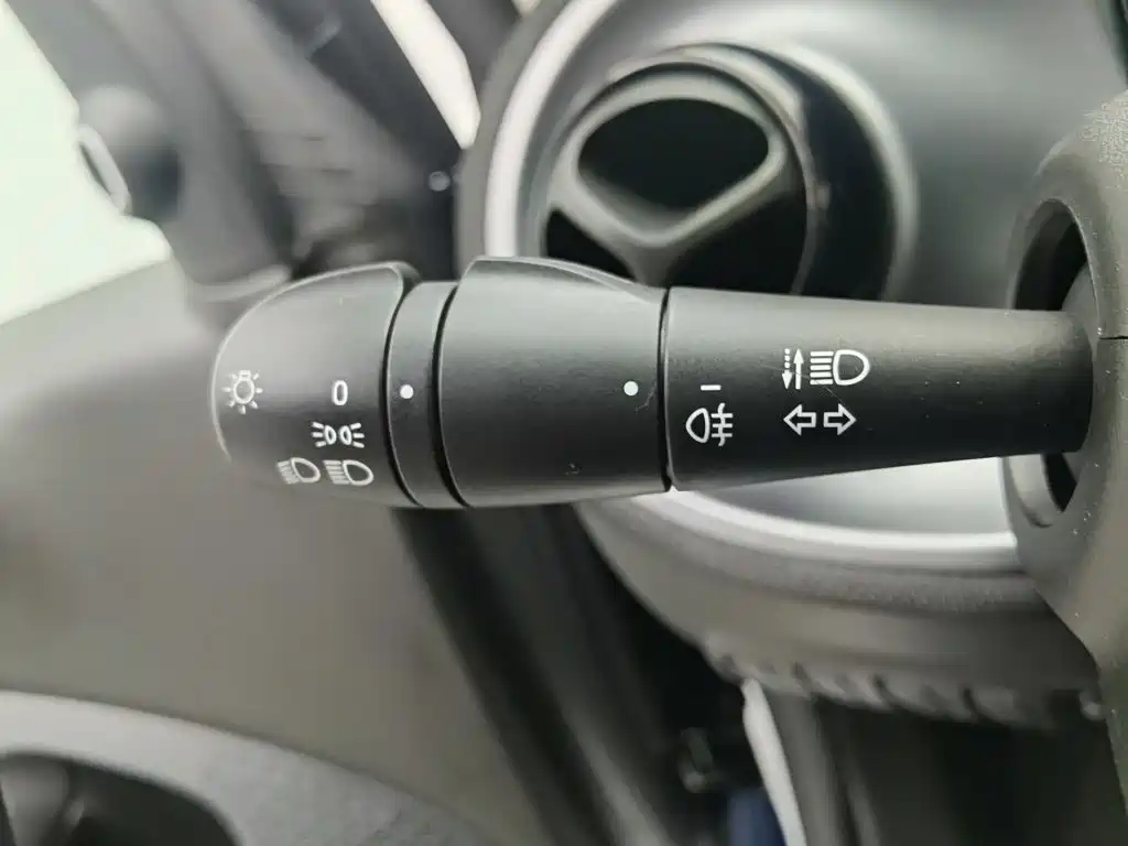 smart fortwo 2019 2018 1.0L 52kW Hardtop Passion Edition China V