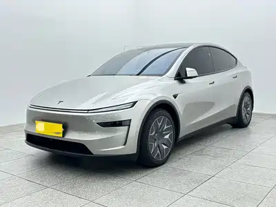 Tesla Model Y L