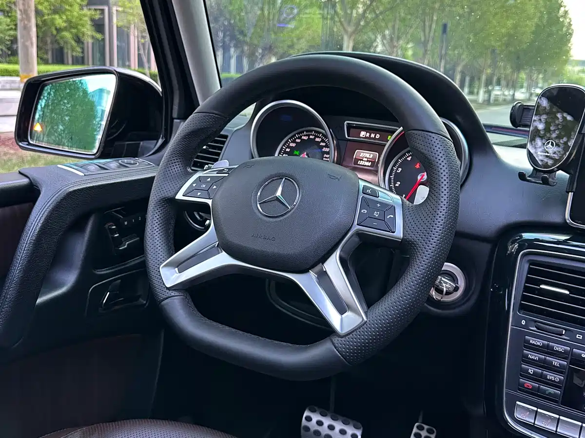 Mercedes-Benz G-Class 2016 G 500 фото 10