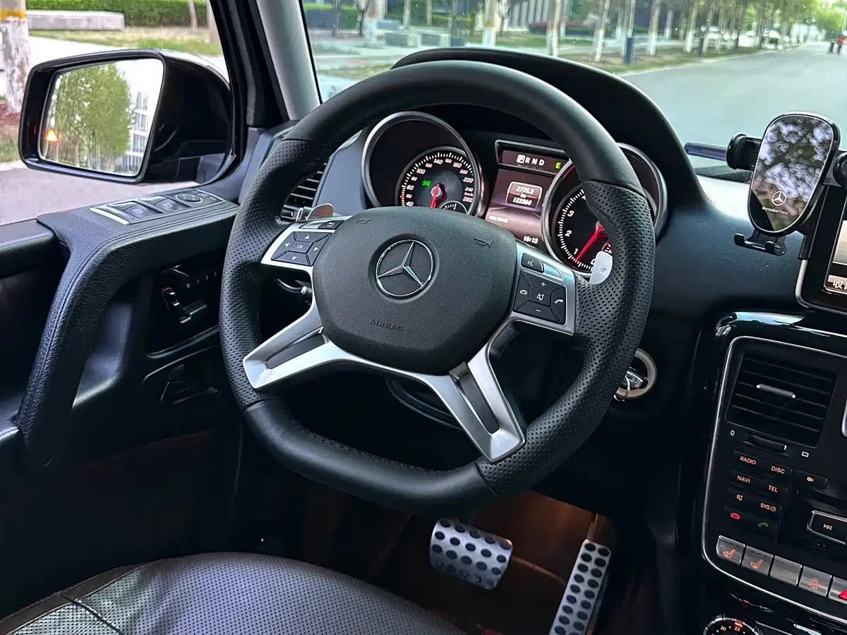 Mercedes-Benz G-Class 2016 G 500 фото 14