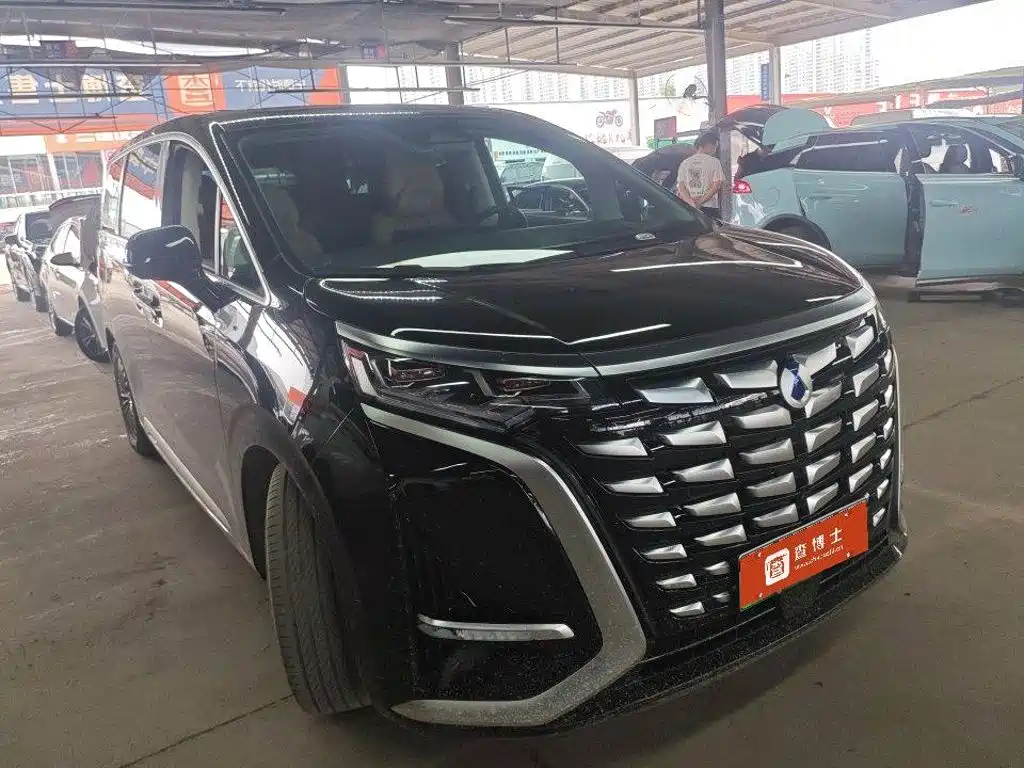 2026 Denza D9